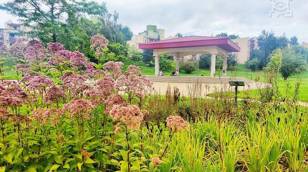 W 2022 r. powstały w Lublinie cztery ogrody deszczowe: jeden w parku Jana Pawła II, trzy w pasie drogowym ul. Ochotniczej.