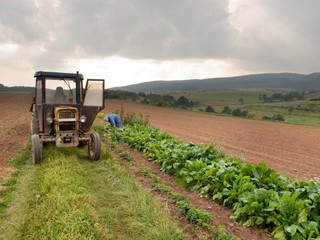 NIK: System ubezpieczeń rolnych - mało skuteczny i nieefektywny