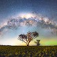 AUSTRALIA NIGHT SKY / AUSTRALIA NIGHT SKY /1399785