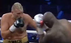 Mariusz Wach nie przyniósł wstydu. Wytrzymał 10 rund [WIDEO]