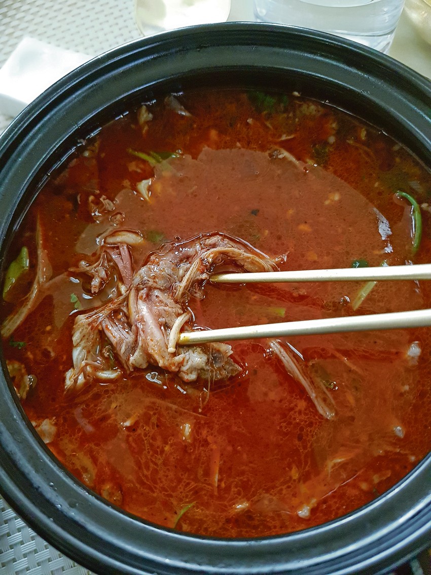 Dinstani pas u pikantnoj supi