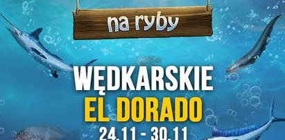 Obniżki w Na Ryby