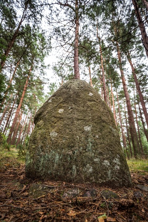 Polskie Stonehenge - zagadkowe kamienne kręgi w Węsiorach