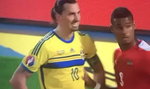 "Nie dotykaj Zlatana. Nigdy" - to nagranie z meczu Austria - Szwecja robi furorę w sieci! WIDEO