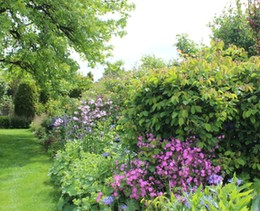 Offener Garten 1