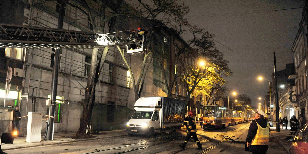 Drzewo spadło na trakcję tramwajową.