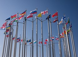 Unia dopuściła do sprzedaży kolejną odmianę soi GMO