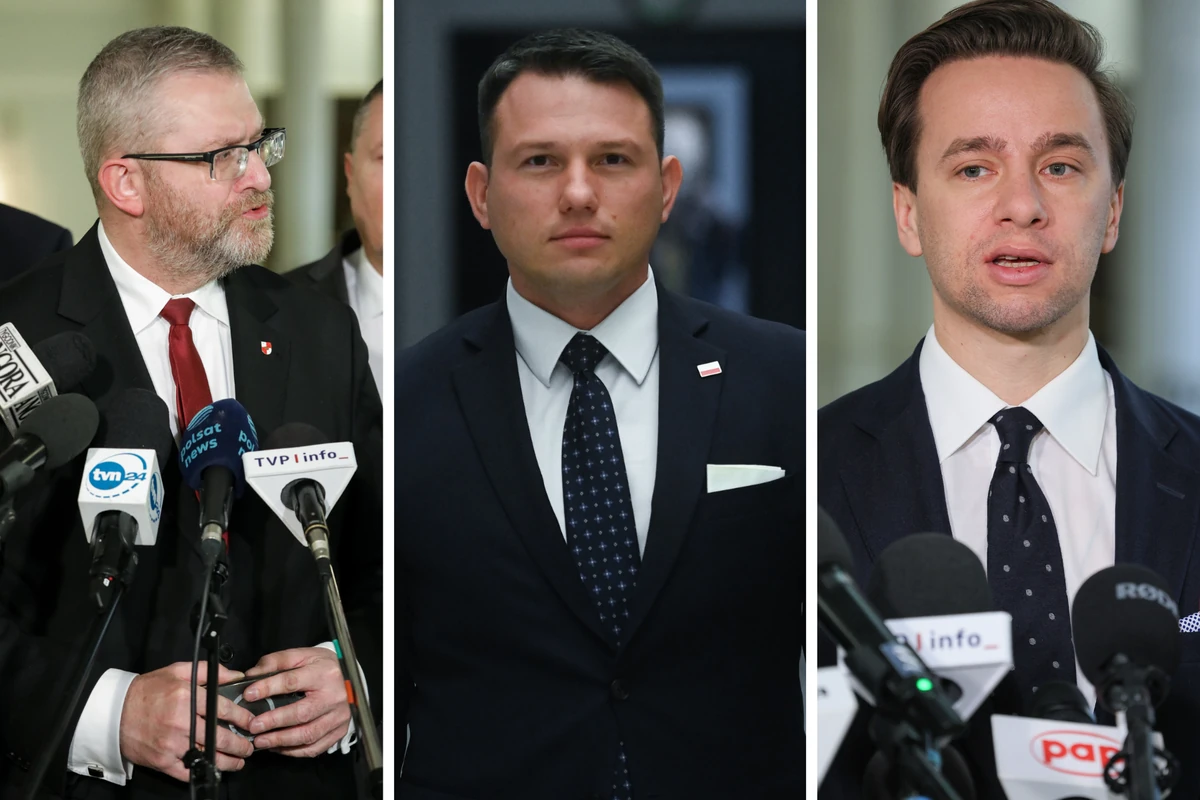 Malarz, Mentzen czy Wszechsmerf? Kto powinien być kandydatem Konfederacji na prezydenta? [SONDAŻ]