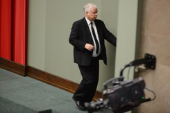 Poseł PO do Jarosława Kaczyńskiego: Panie prezesie, ma pan kota. Cały kraj wie, że lubi pan zwierzęta