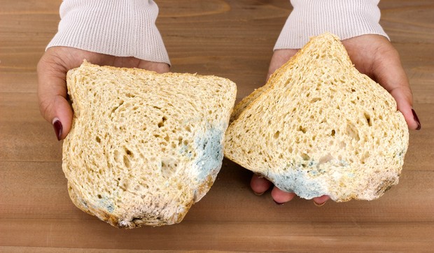 Buđav hleb ne treba jesti, čak ni kada se plesan skine