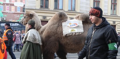 Członkowie ONR w Orszaku Trzech Króli. Kościół się tłumaczy