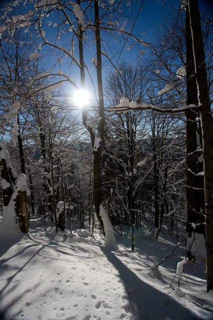 Galeria Polska - Bieszczady w zimowej szacie, obrazek 27