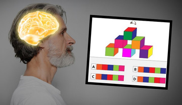 W jakim wieku jest twój mózg? 13 pytań pokaże, jak szybko się starzeje