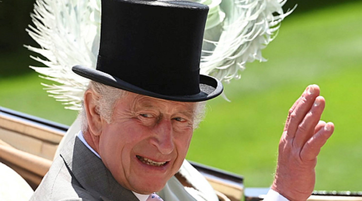 Károly király sosem tisztelte András herceget/Fotó:MTI/EPA/Neil Hall