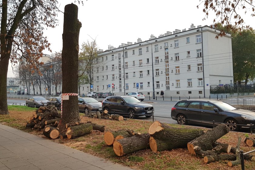 Wielka rzeź na Mickiewicza