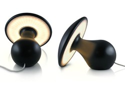 Świecący grzybek uprzyjemni jesienne wieczory