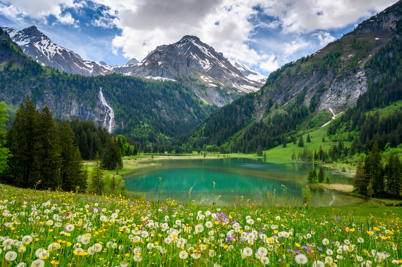 Alpy, Szwajcaria
