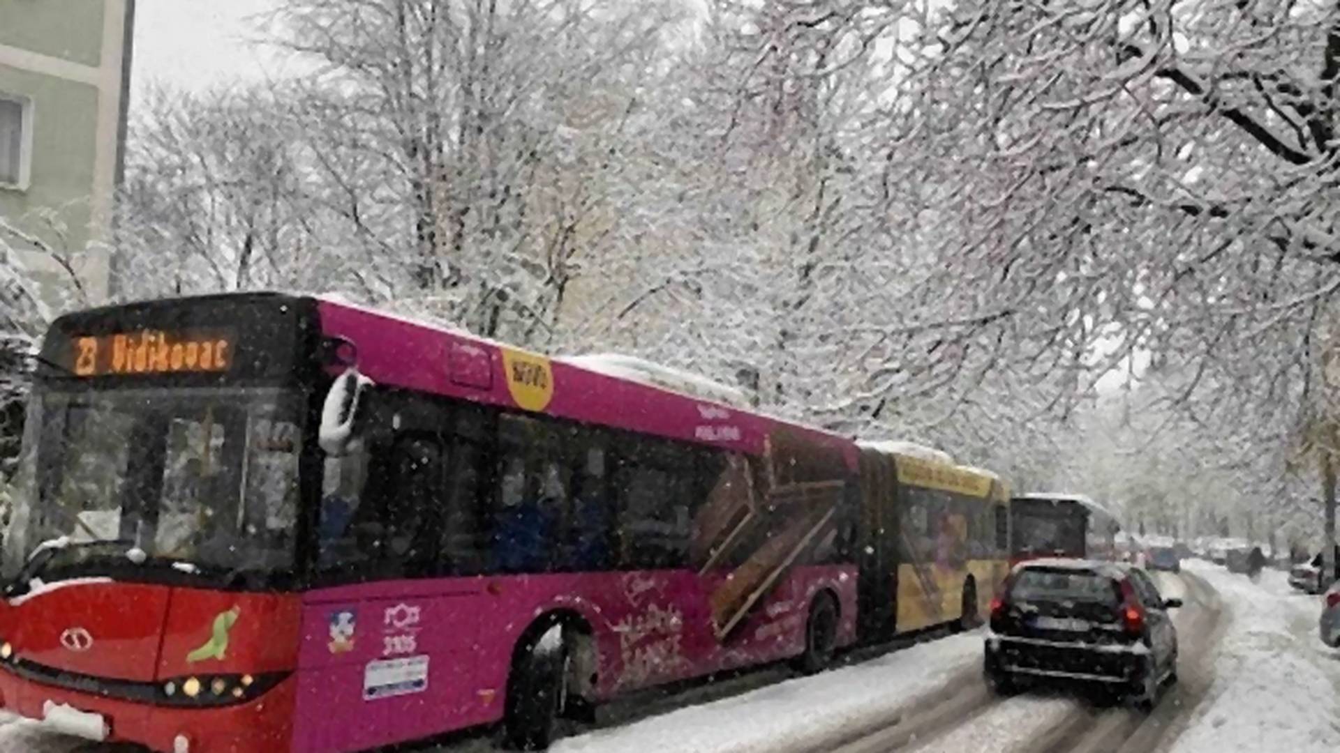 Sneg je u decembru opet iznenadio putare - mnoge ulice u Beogradu su   neprohodne
