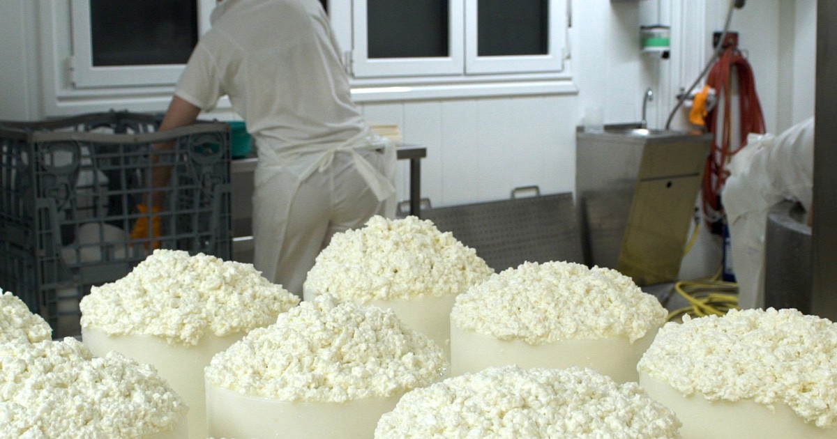 There's a $22,000 blue cheese that spends 2 months growing mold in a ...