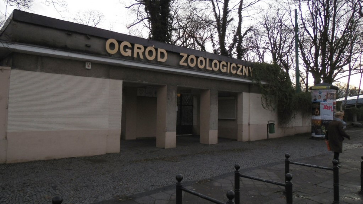 Skradzione z poznańskiego ZOO koźlątko jest całe i zdrowe, i znajduje się już pod opieką pracowników ogrodu zoologicznego – poinformowała nadkom. Iwona Liszczyńska z Komendy Wojewódzkiej Policji w Poznaniu.