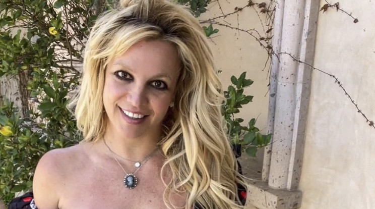 Kamu oldalt hoztak létre Britney Spears-ről / Fotó: Northfoto