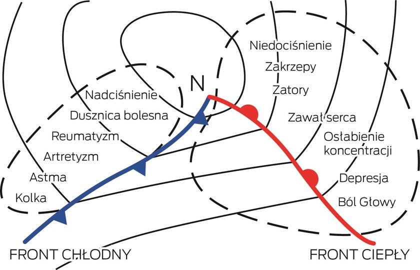 Kiedy napływa chłodniejsze powietrze, przed tym frontem ciśnienie spada, za frontem gwałtownie rośnie. Gdy rośnie ciśnienie i spada temperatura, zwiększa się krzepliwość krwi, a to oznacza problemy dla osób z nadciśnieniem, zawałowców. Ciepły front "odpowi