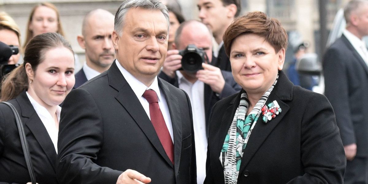 Orban zlekceważył taką opinię