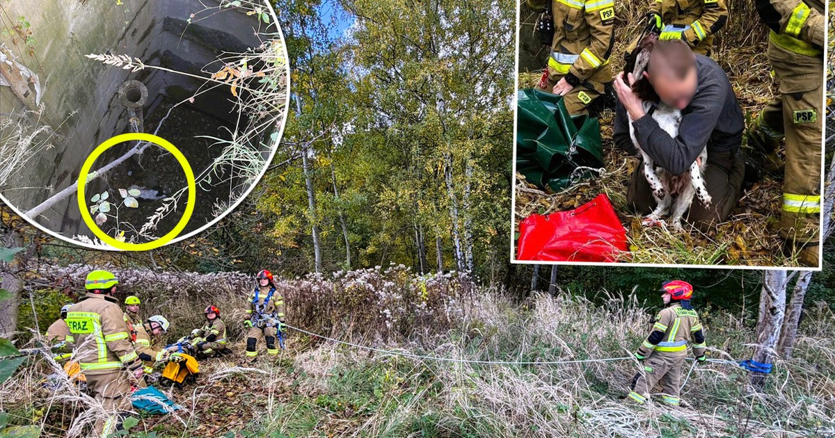 Biegał po łące, aż nagle zniknął. 10 m grozy na Śląsku