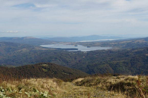 "BIO JE TO TRENUTAK POTPUNE NEVERICE" Naša naučnica obišla je 450 lokaliteta u Srbiji, a onda - EUREKA! Stavila je uzorak vode sa izvora pod mikroskop i šokirano posmatrala