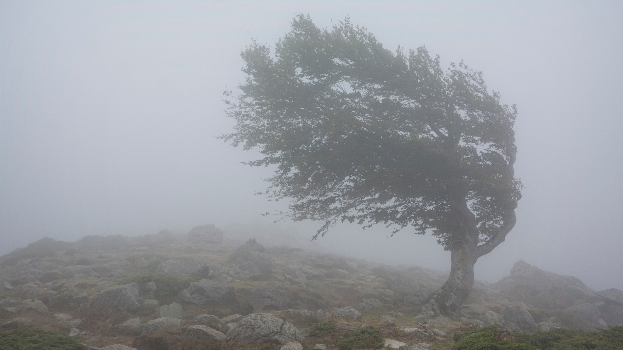 So silnejším vetrom na horách stredného Slovenska treba počítať aj naďalej. (ilustračné foto)