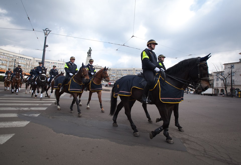 ŁÓDŹ SZKOLENIE KONNEJ STRAŻY MIEJSKIEJ