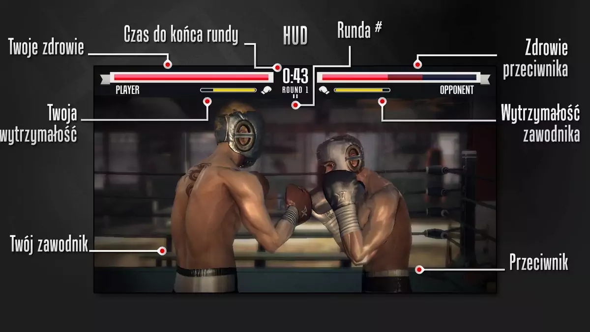 Real Boxing