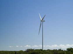 Konflikt interesów, korupcja... NIK krytycznie o elektrowniach wiatrowych