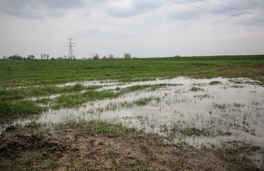 Pielgrzymi ugrzęzną w błocie