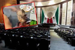 Rytualny ubój kury w Meksyku. Senator oskarżany o znęcanie się nad zwierzętami