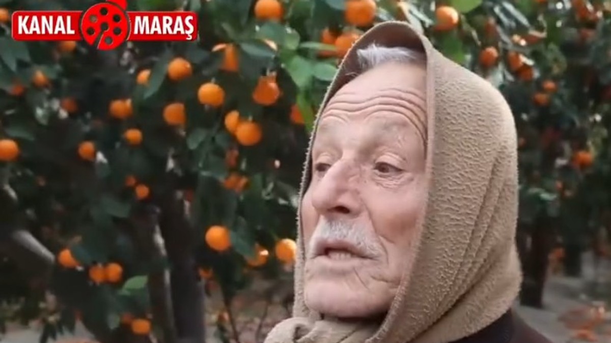 Poljoprivrednici o mandarinama