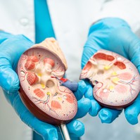 Krónikus veseelégtelenség tünete, vizsgálata és kezelése