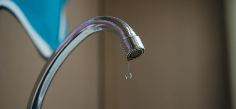 Ostatni dzwonek na dobrowolne zgłoszenie. Po 15.10 kary dotkną właścicieli nieruchomości