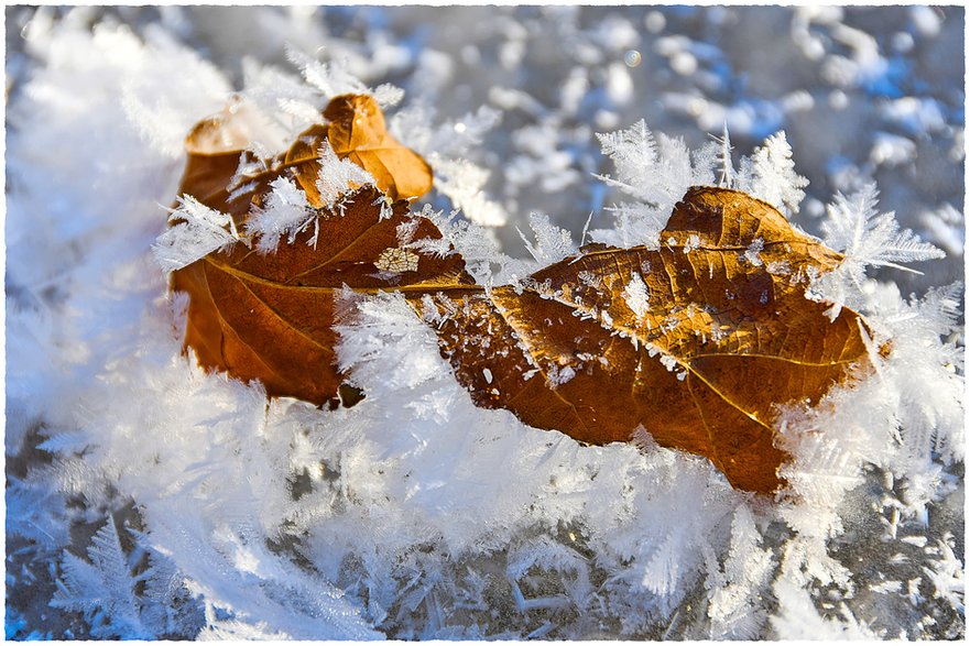 Zima i rekordy temperatur