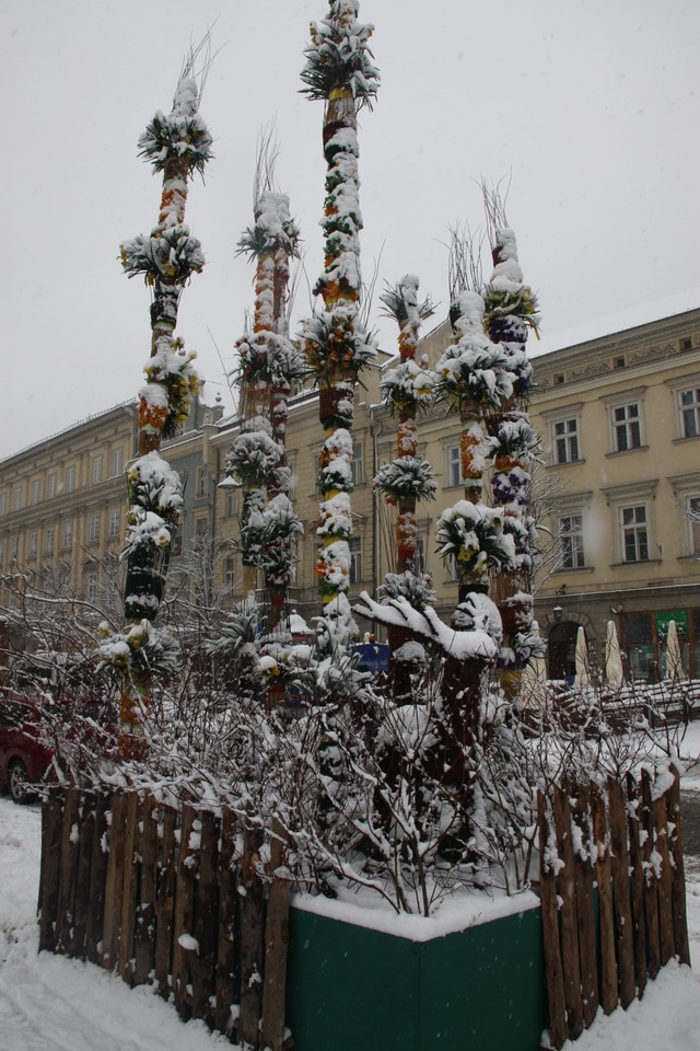 fot. Norbert Litwiński/Onet