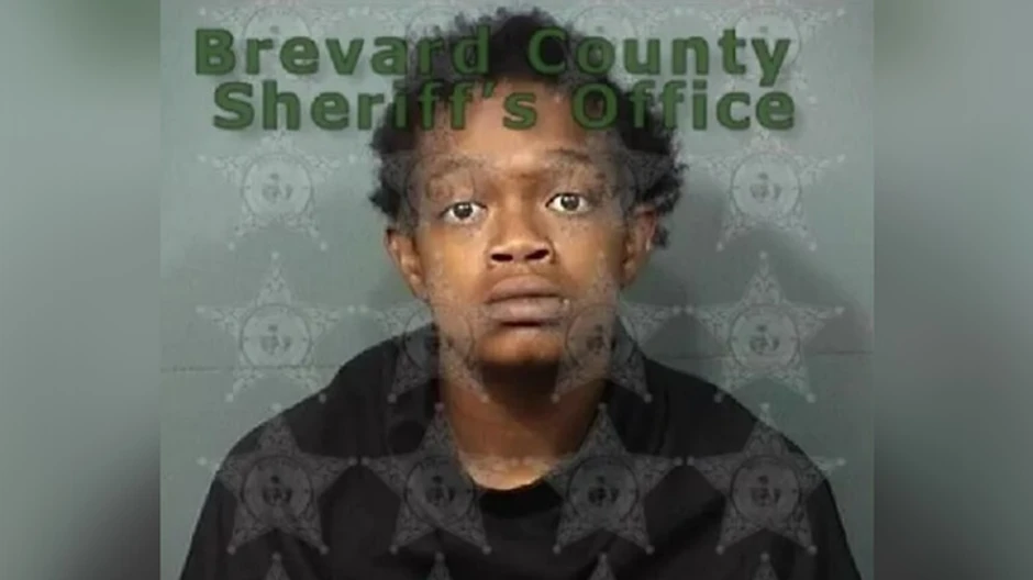 Vaspitačica koja je bacila devojčicu na pod