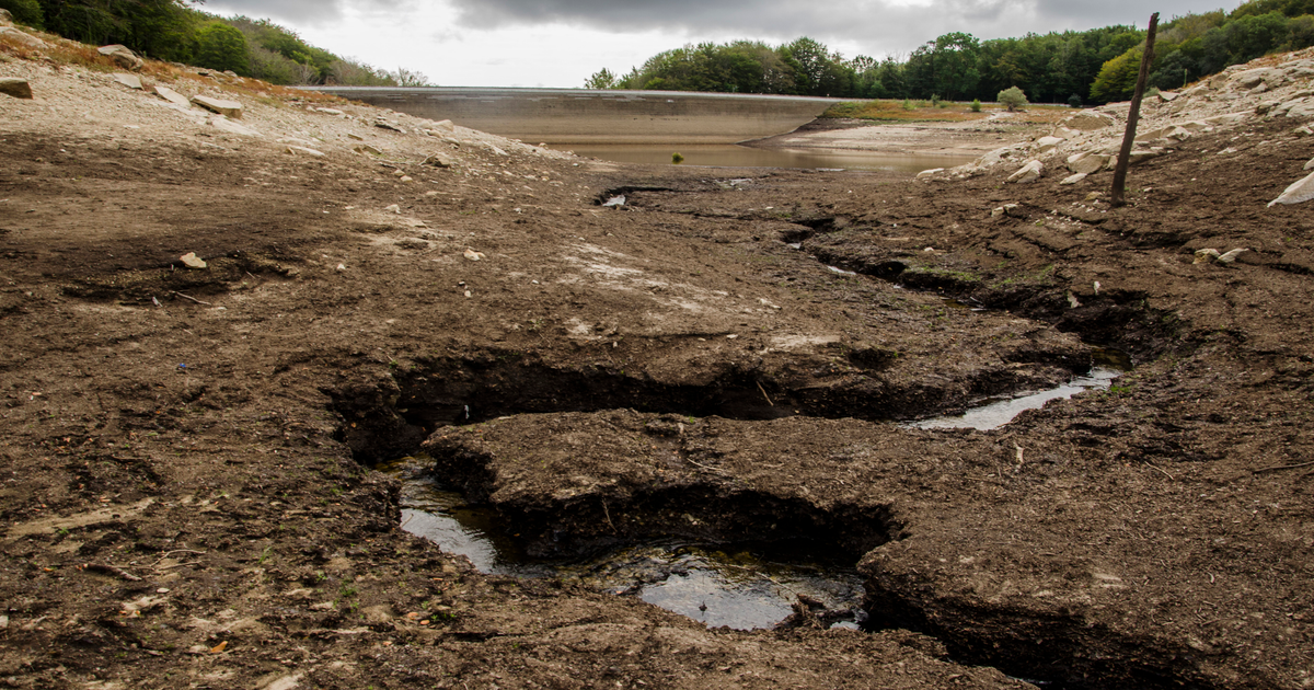 La UE no cumplirá la mayoría de sus objetivos ambientales para 2030