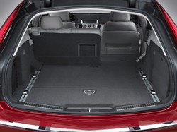 Długi, czerwony i muskularny