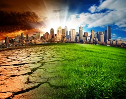 Tragiczne konsekwencje zmian klimatu. Obserwujemy coś, co nazywamy "fałszywą nadzieją"