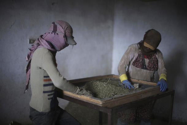 The Wider Image: Syrian refugees farm cannabis in Lebanon