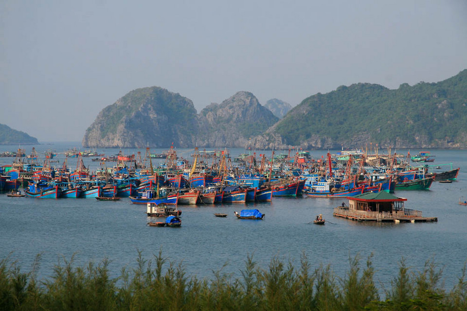 Okolice Hanoi - zatoka Ha Long