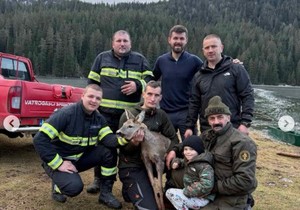 Vatrogasci sa srnom