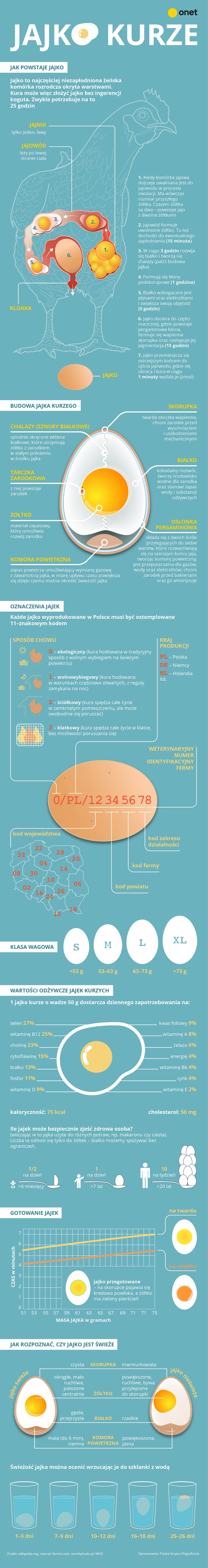 Jajko [INFOGRAFIKA]