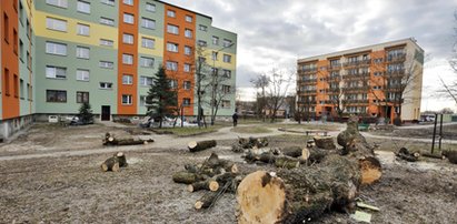 Zastali Polskę w ruinach, a zostawią w trocinach