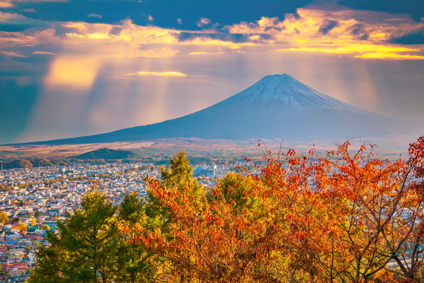 W jednym z najbardziej popularnych miejsc do fotografowania najwyższej góry Japonii, Fudżi, stanie zasłaniający ją wielki ekran